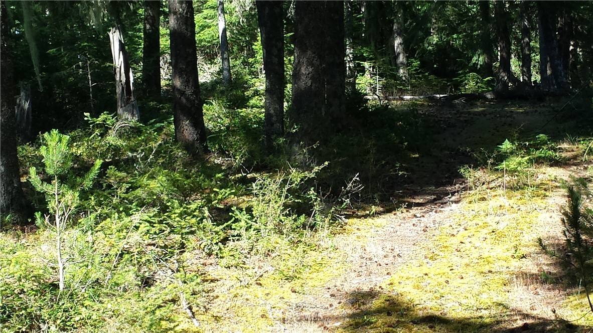 130 Fern Ridge Road Orcas Island, WA 98245 - Photo 4 of 13 Gallery Image 4