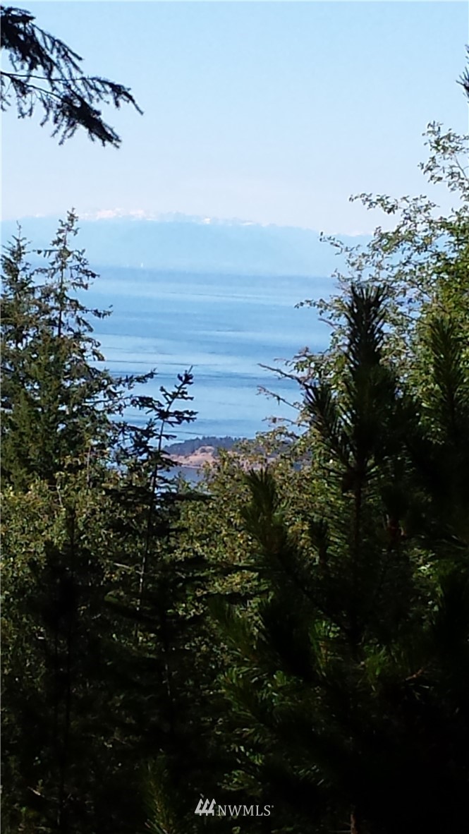 130 Fern Ridge Road Orcas Island, WA 98245 - Photo 6 of 13 Gallery Image 6