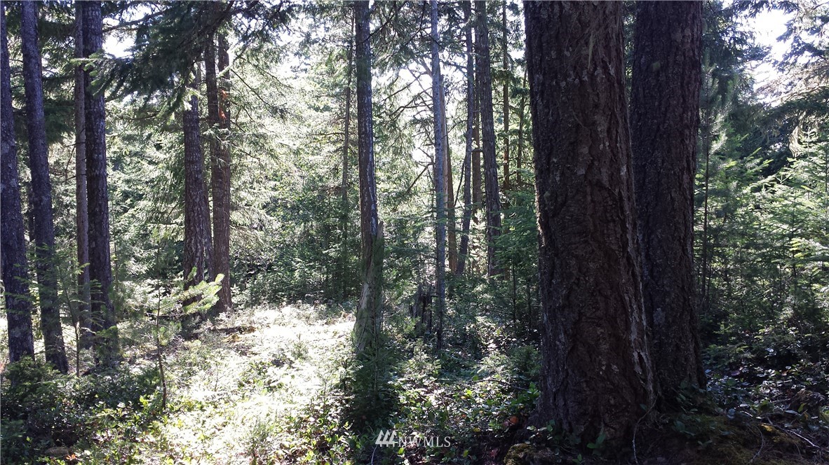 130 Fern Ridge Road Orcas Island, WA 98245 - Photo 7 of 13 Gallery Image 7