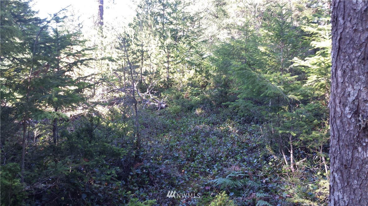 130 Fern Ridge Road Orcas Island, WA 98245 - Photo 8 of 13 Gallery Image 8