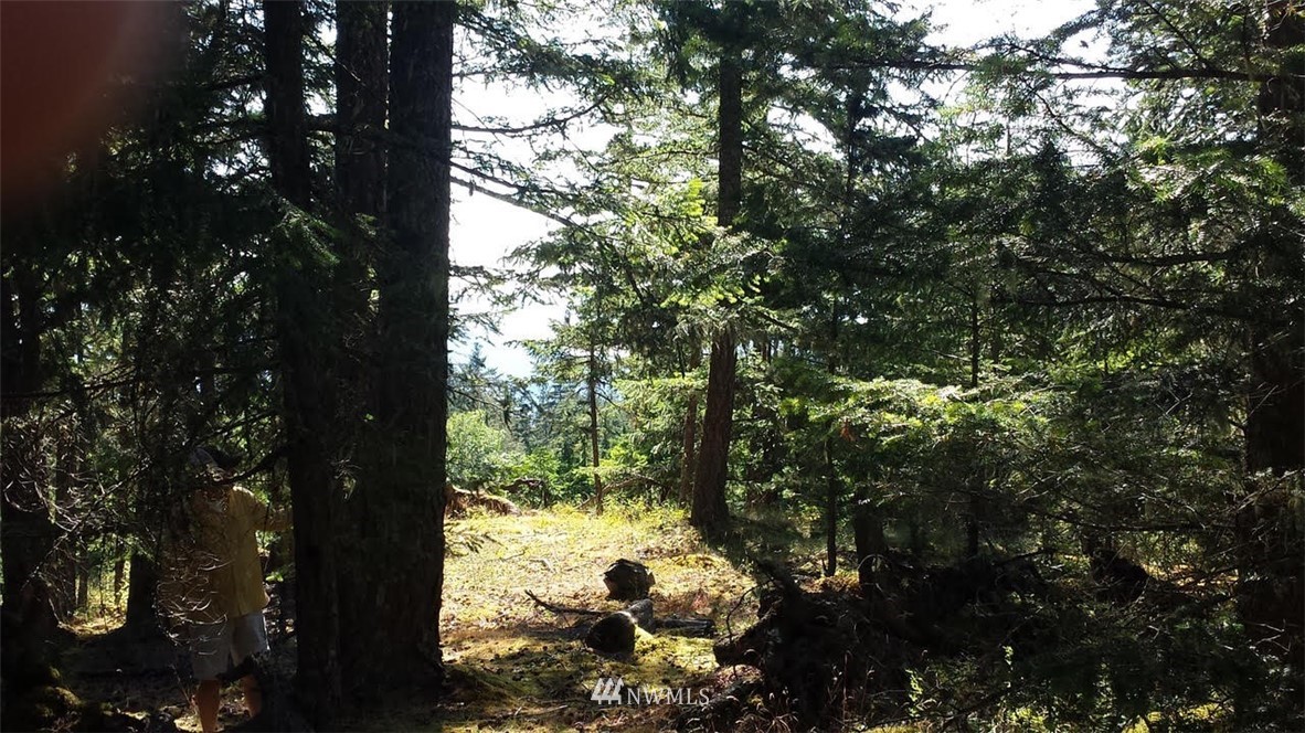 130 Fern Ridge Road Orcas Island, WA 98245 - Photo 9 of 13 Gallery Image 9