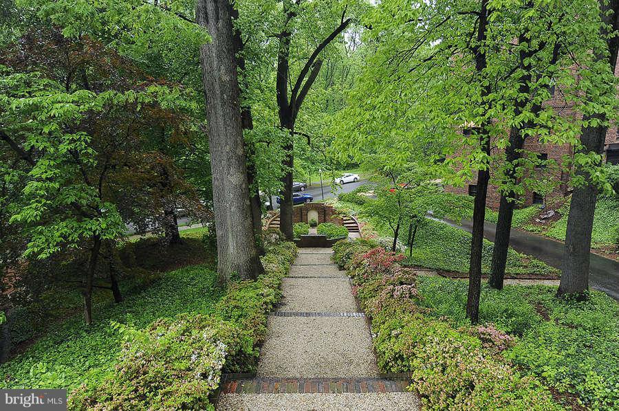 3000 Tilden Street Northwest, Unit 102 Washington, DC 20008 - Photo 28 of 29 a view of a pathway both side of yard