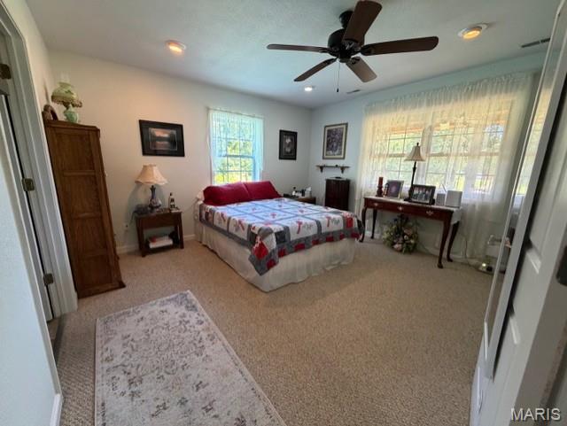5539 Ripley Route East Doniphan, MO 63935 - Photo 12 of 28