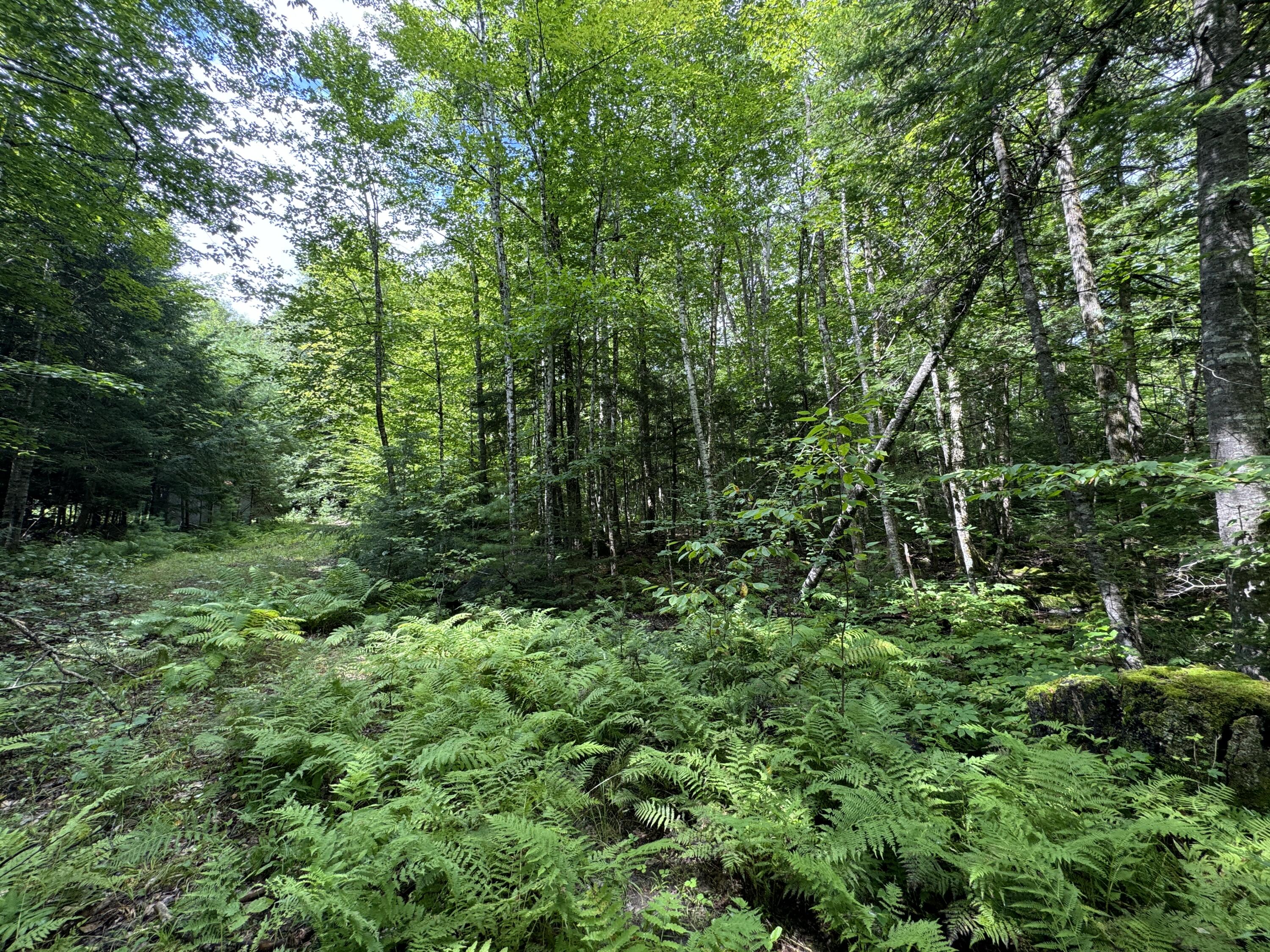 105 Poplar Point Road Mount Vernon, ME 04352 - Photo 11 of 38 IMG_9196