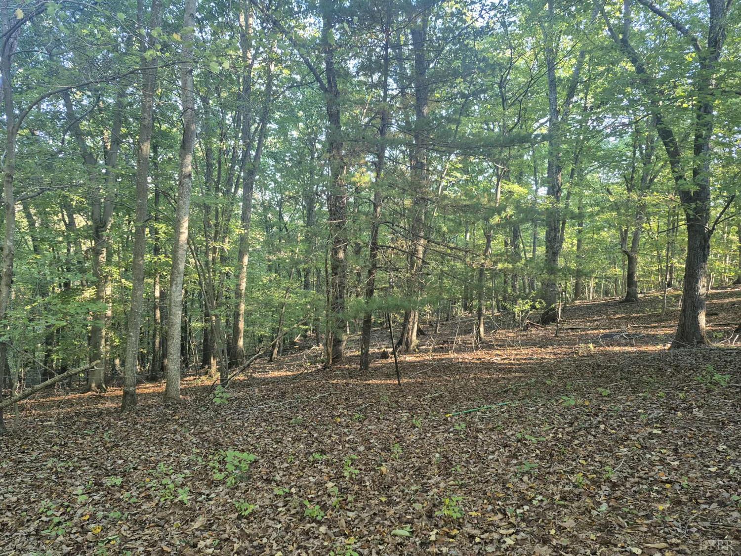 404 Darrell Lane Hurt, VA 24563 - Photo 22 of 31 a backyard of a house with lots of green space