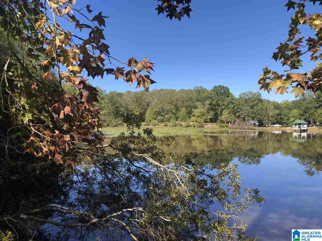 31 Highway Calera Al, Unit 17ACRES Calera, AL 35040 - Photo 1 of 1