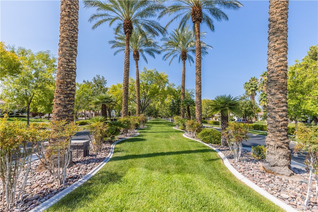 2339 Prometheus Court Henderson, NV 89074 - Photo 86 of 92 View of yard