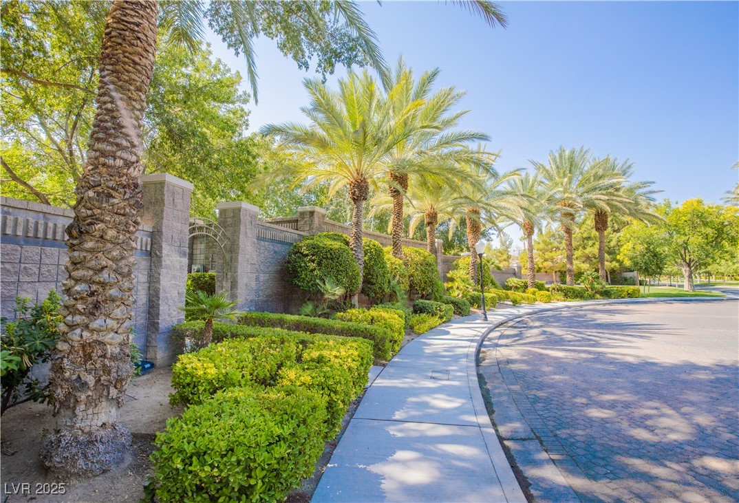 2339 Prometheus Court Henderson, NV 89074 - Photo 87 of 92 View of property's community