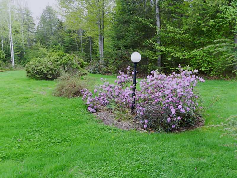814 Todds Corner Road St. Albans, ME 04971 - Photo 9 of 35 Yard/Garden.