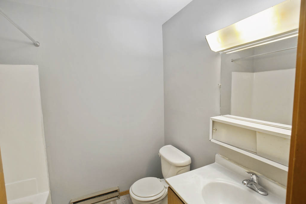 405 East Reed Street, Unit 13 Braidwood, IL 60408 - Photo 8 of 9 a bathroom with a sink mirror vanity and toilet