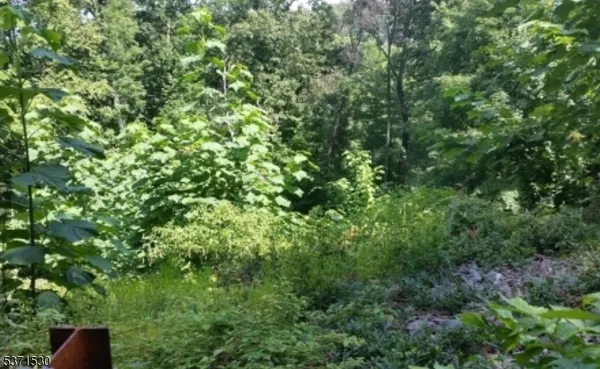 $250,000 | 21 Rockledge Road, Montville, NJ 07045