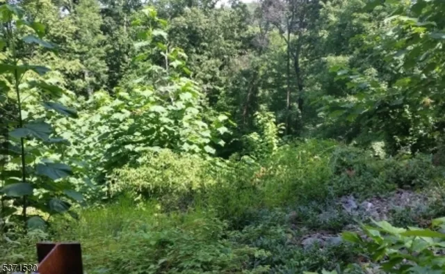 $250,000 | 21 Rockledge Road, Montville, NJ 07045