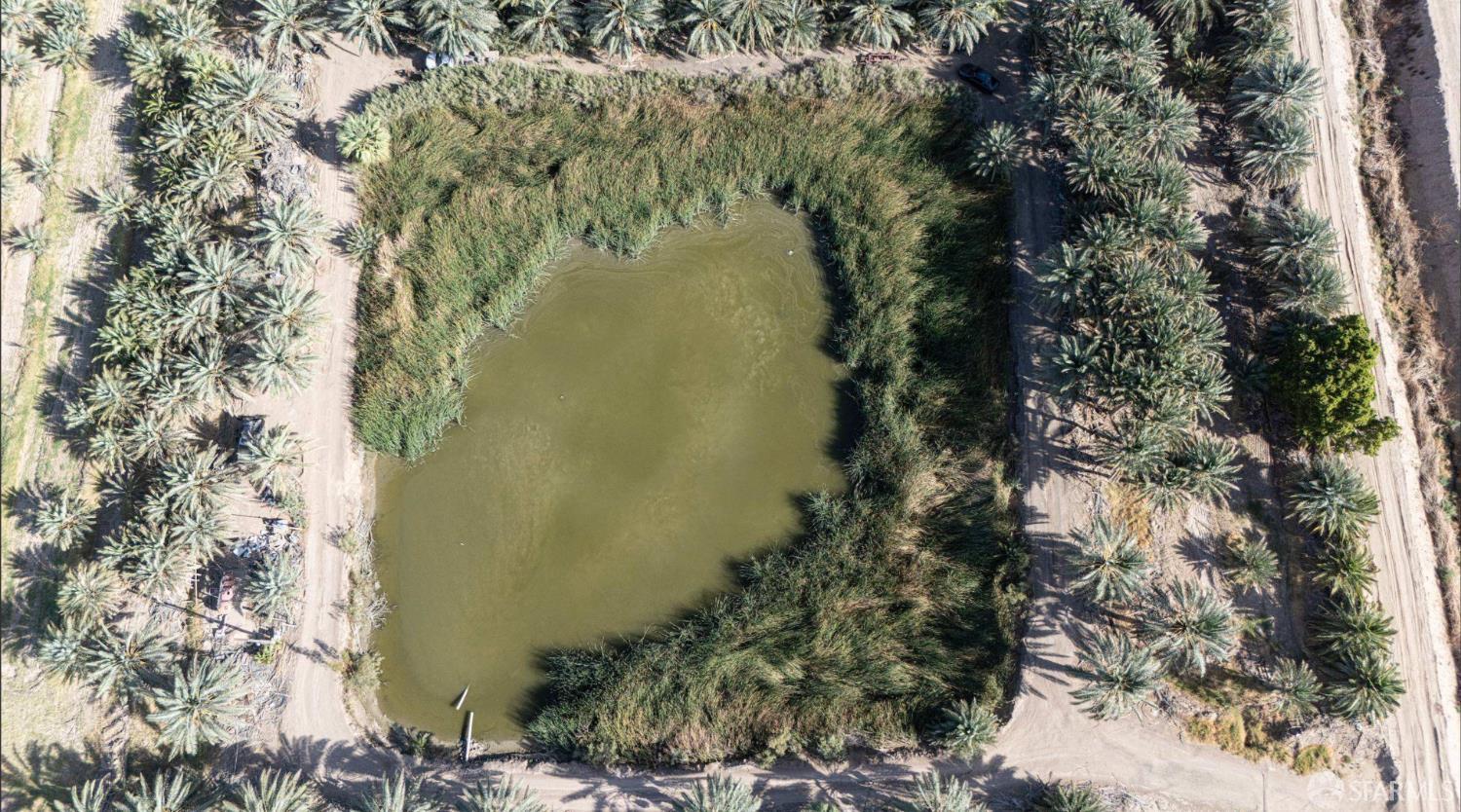 5296 Buck Road Brawley, CA 92227 - Photo 10 of 87 Gallery Image 10