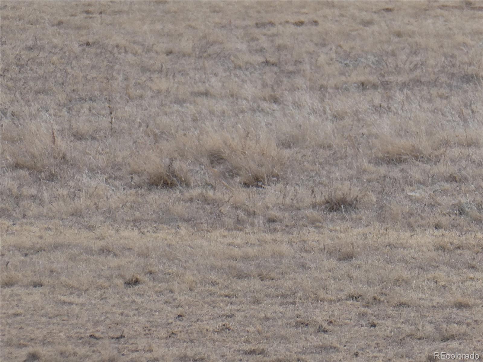 South Harding Road Rush, CO 80833 - Photo 7 of 7 Gallery Image 7