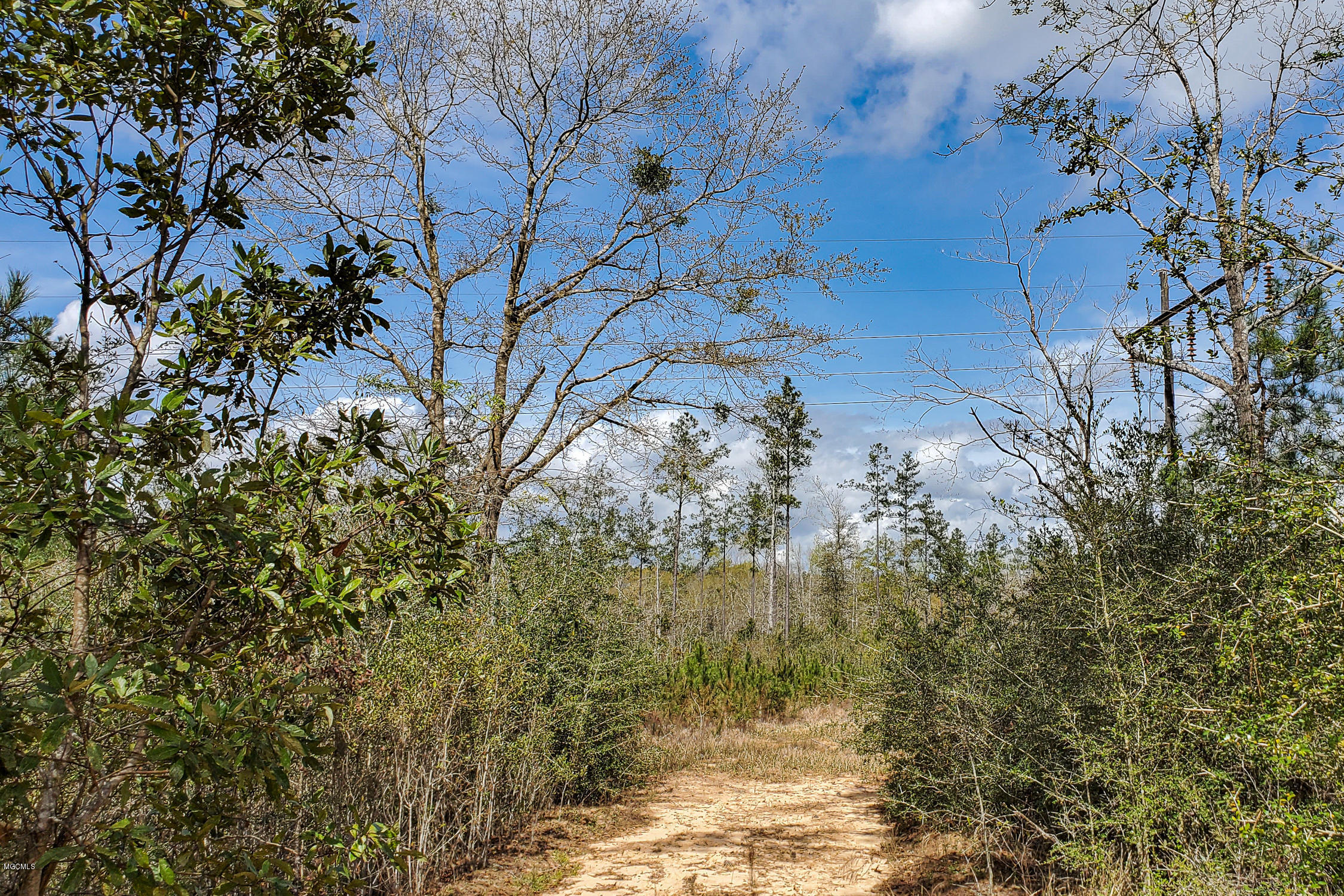 80-ac Steve Williams Road Lucedale, MS 39452 - Photo 30 of 56 6 (15)