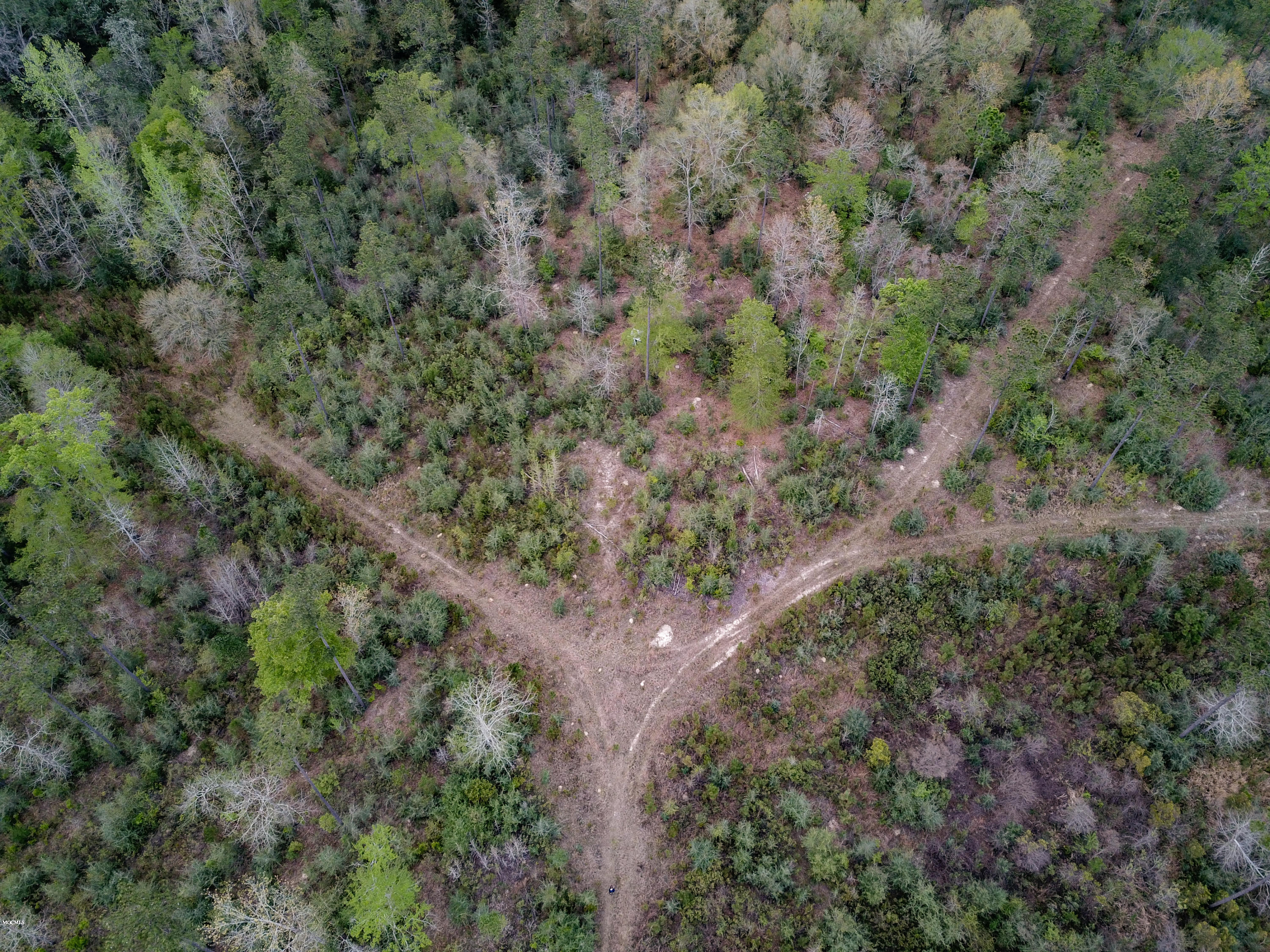 80-ac Steve Williams Road Lucedale, MS 39452 - Photo 54 of 56 DJI_0074