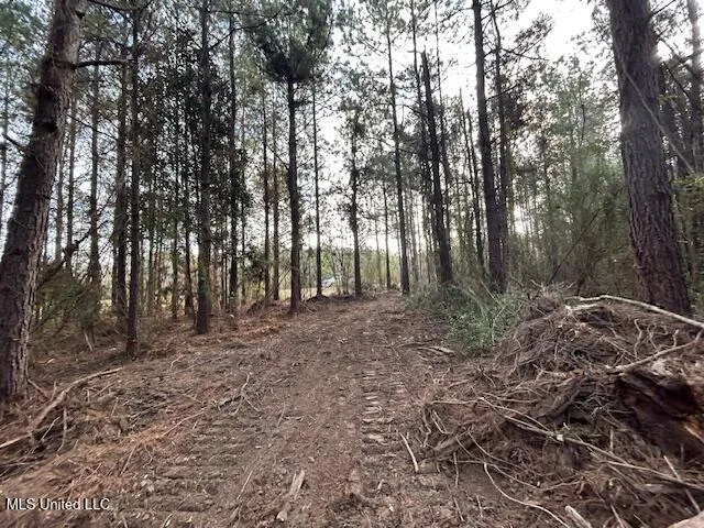 $29,900 | Irene Road, Magnolia, MS 39652