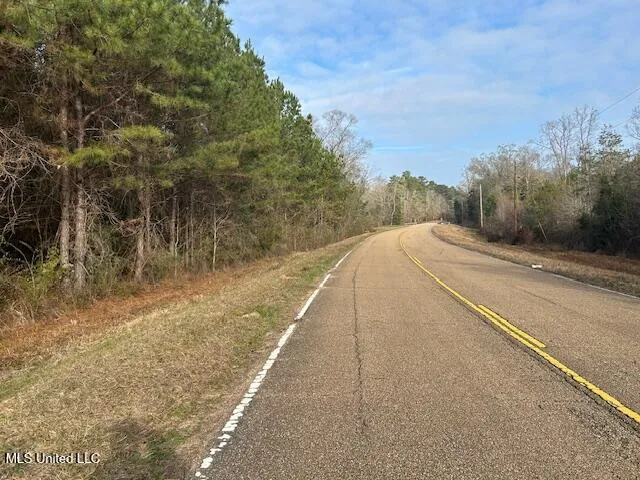 $29,900 | Irene Road, Magnolia, MS 39652