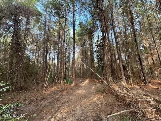 $29,900 | Irene Road, Magnolia, MS 39652
