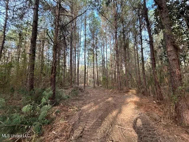 $29,900 | Irene Road, Magnolia, MS 39652