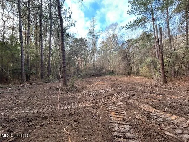 $29,900 | Irene Road, Magnolia, MS 39652