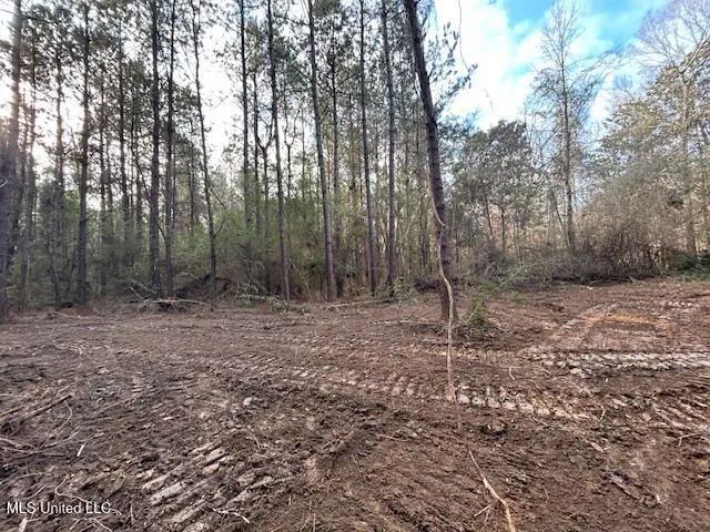 $29,900 | Irene Road, Magnolia, MS 39652