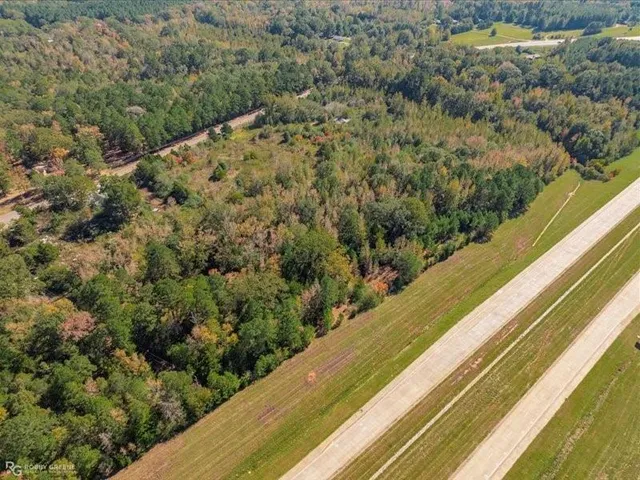 a view of a forest from a window