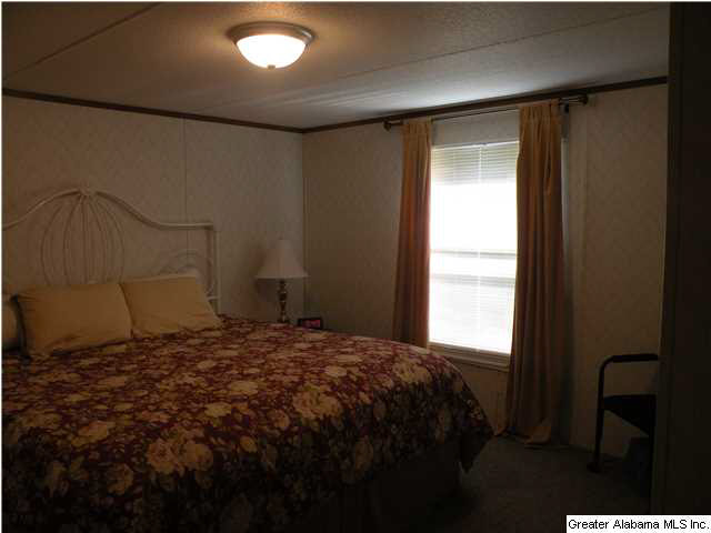 445 Reed Road Ashville, AL 35953 - Photo 11 of 17