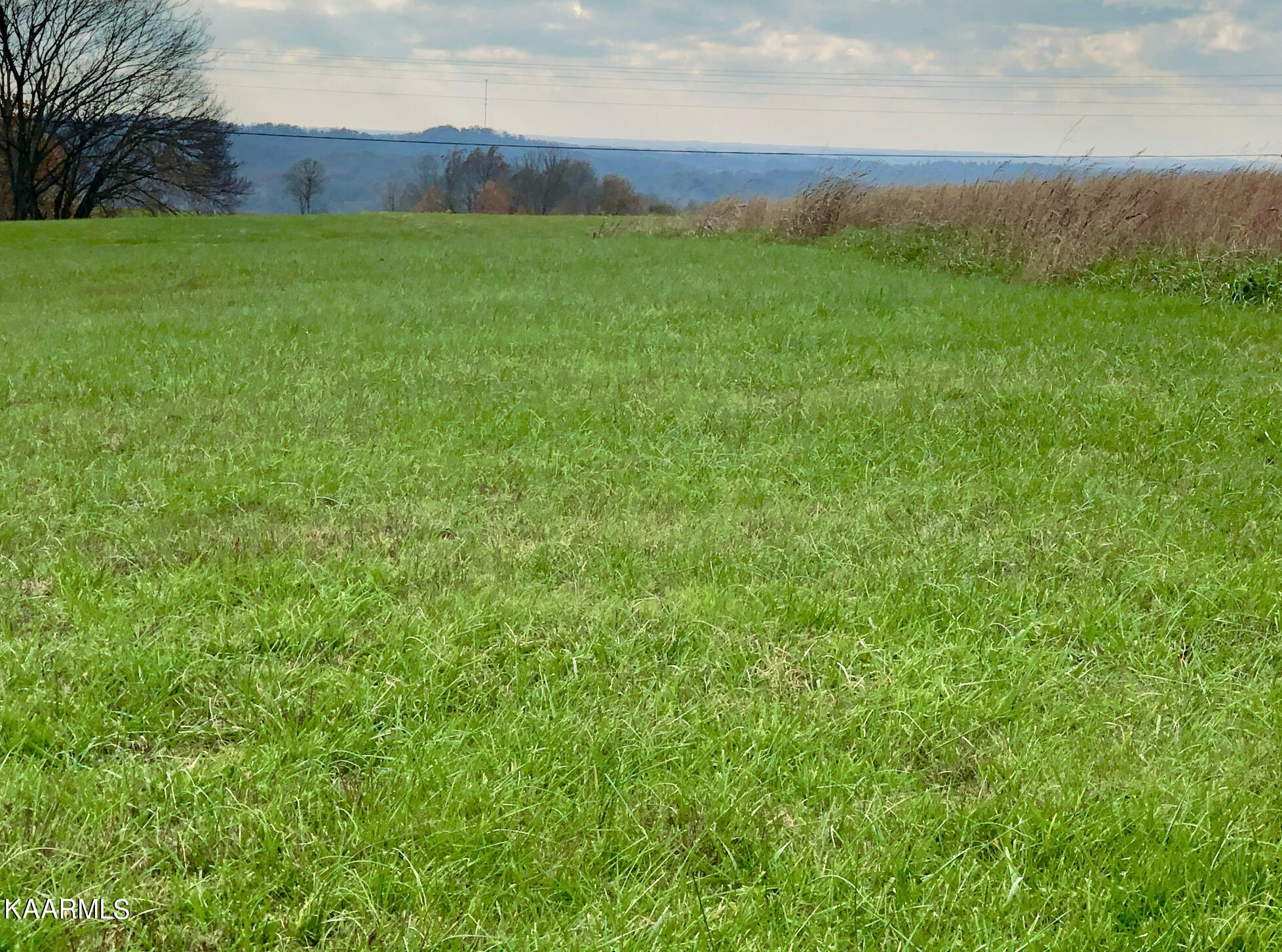 Gander Road Celina, TN 38551 - Photo 2 of 7 Photo 1a Back Yard looking toward mounta