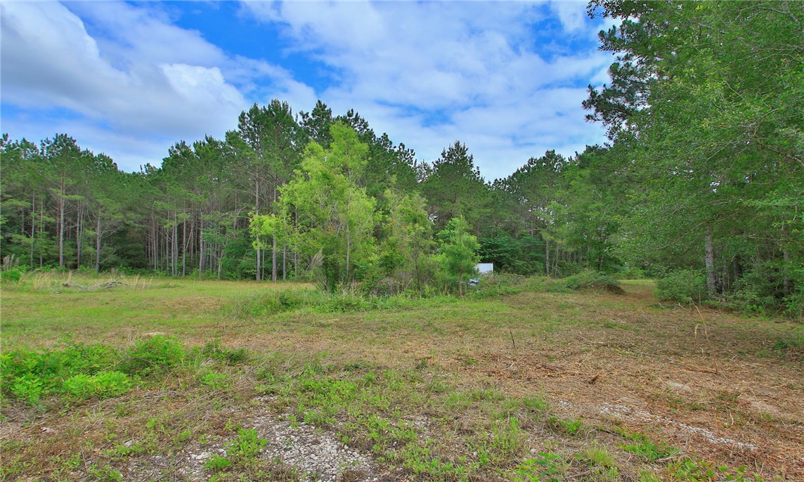 5914 Carter Road Waller, TX 77484 - Photo 37 of 41