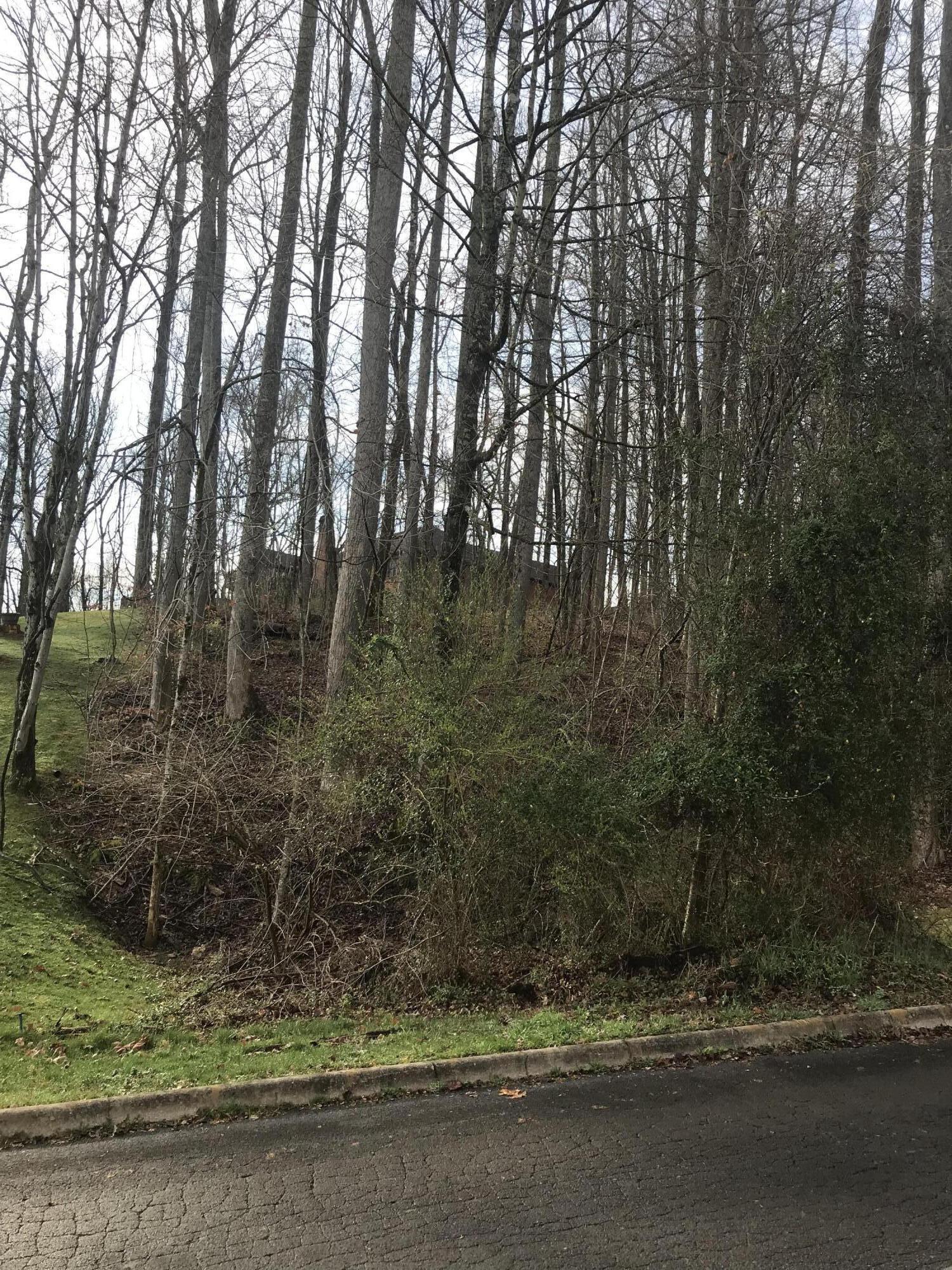 107 Hidden Valley Road, Unit 67 Johnson City, TN 37601 - Photo 3 of 3 56978CD3-5E5F-4202-9516-B99F986E6FD8
