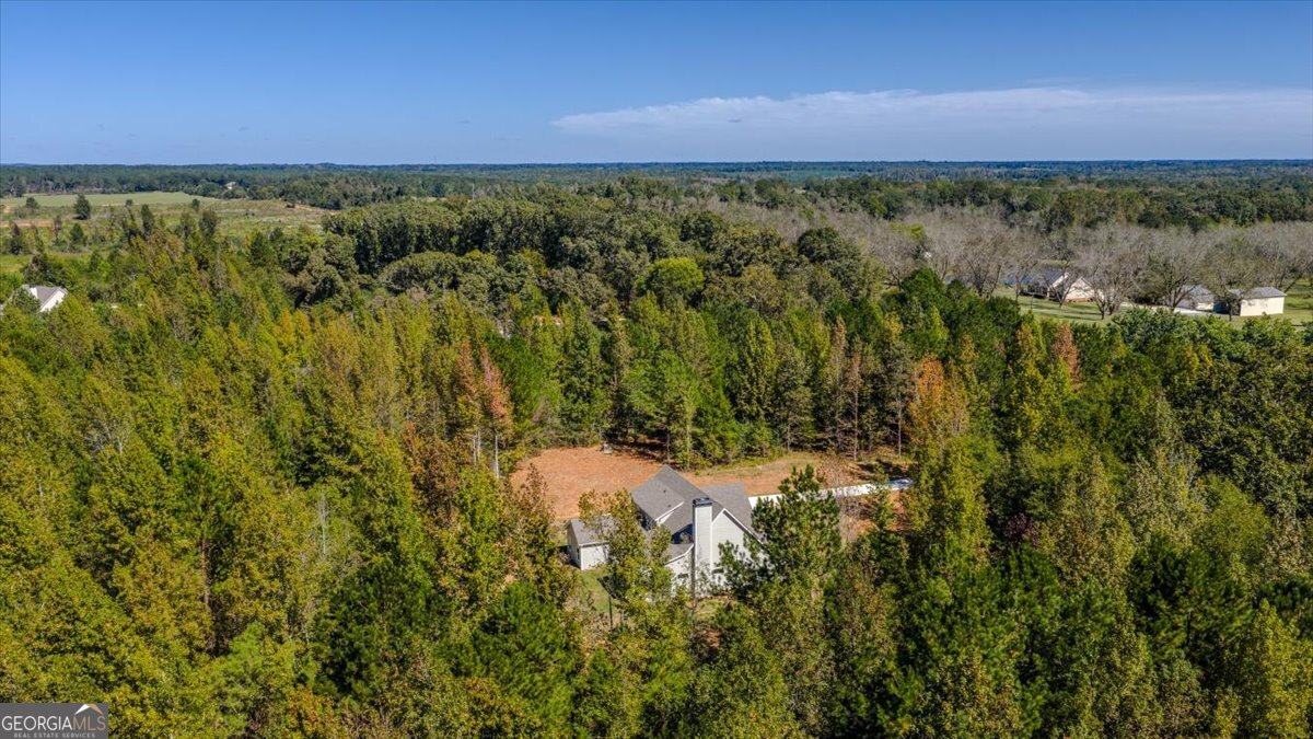 1570 The Rock Road Thomaston, GA 30286 - Photo 52 of 53