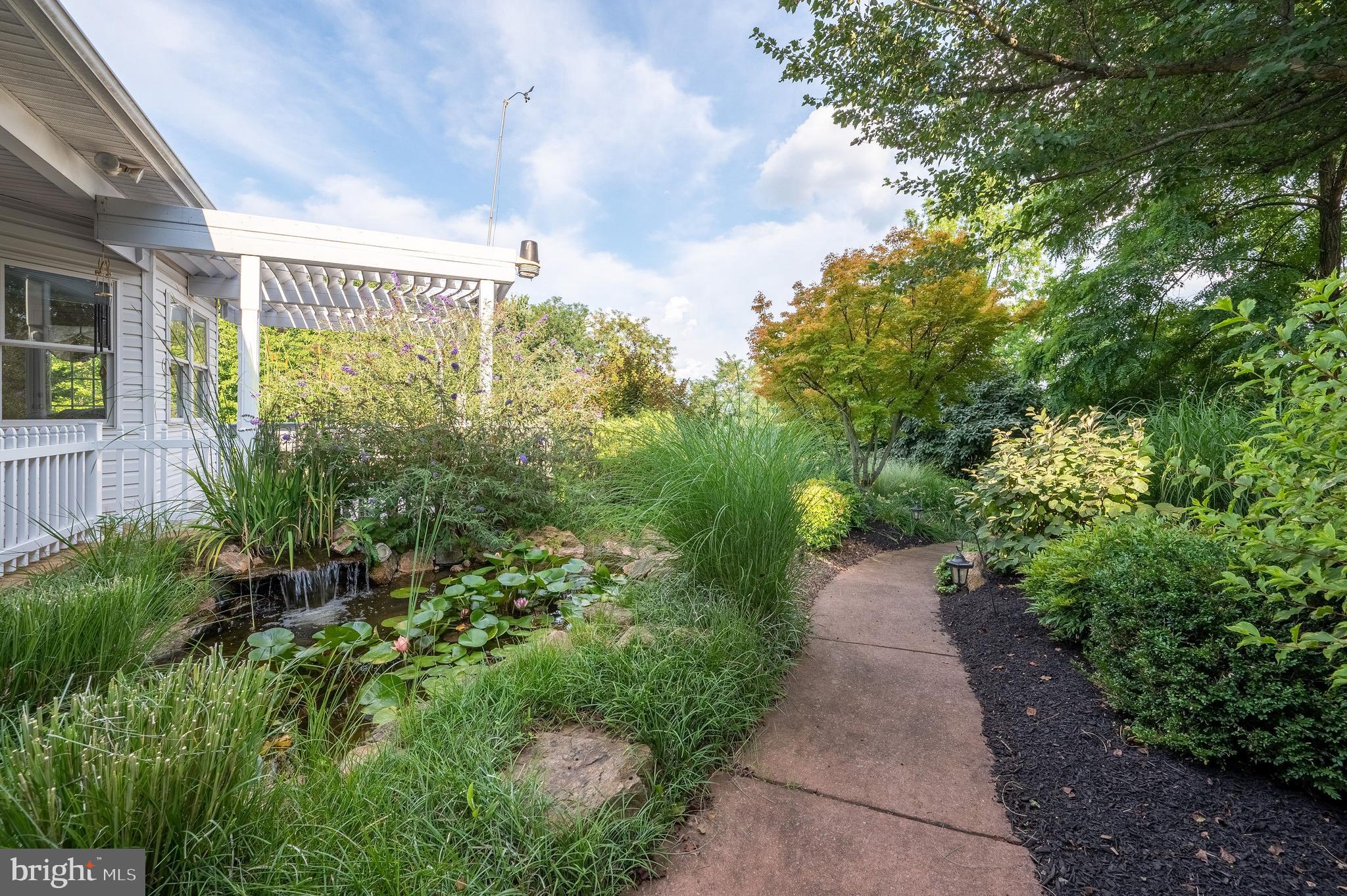 4960 Hafer Road Reading, PA 19606 - Photo 51 of 88 Upper level pond with frogs and fish