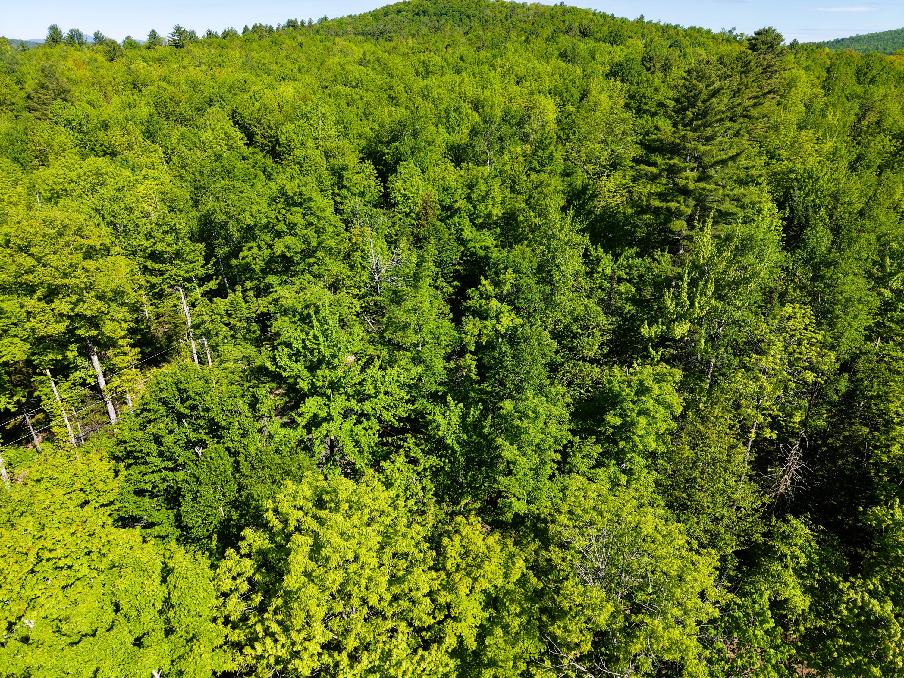 M10-l6-1 Hancock Pond Road New Portland, ME 04961 - Photo 28 of 30 DJI_20260603090245_0013_D