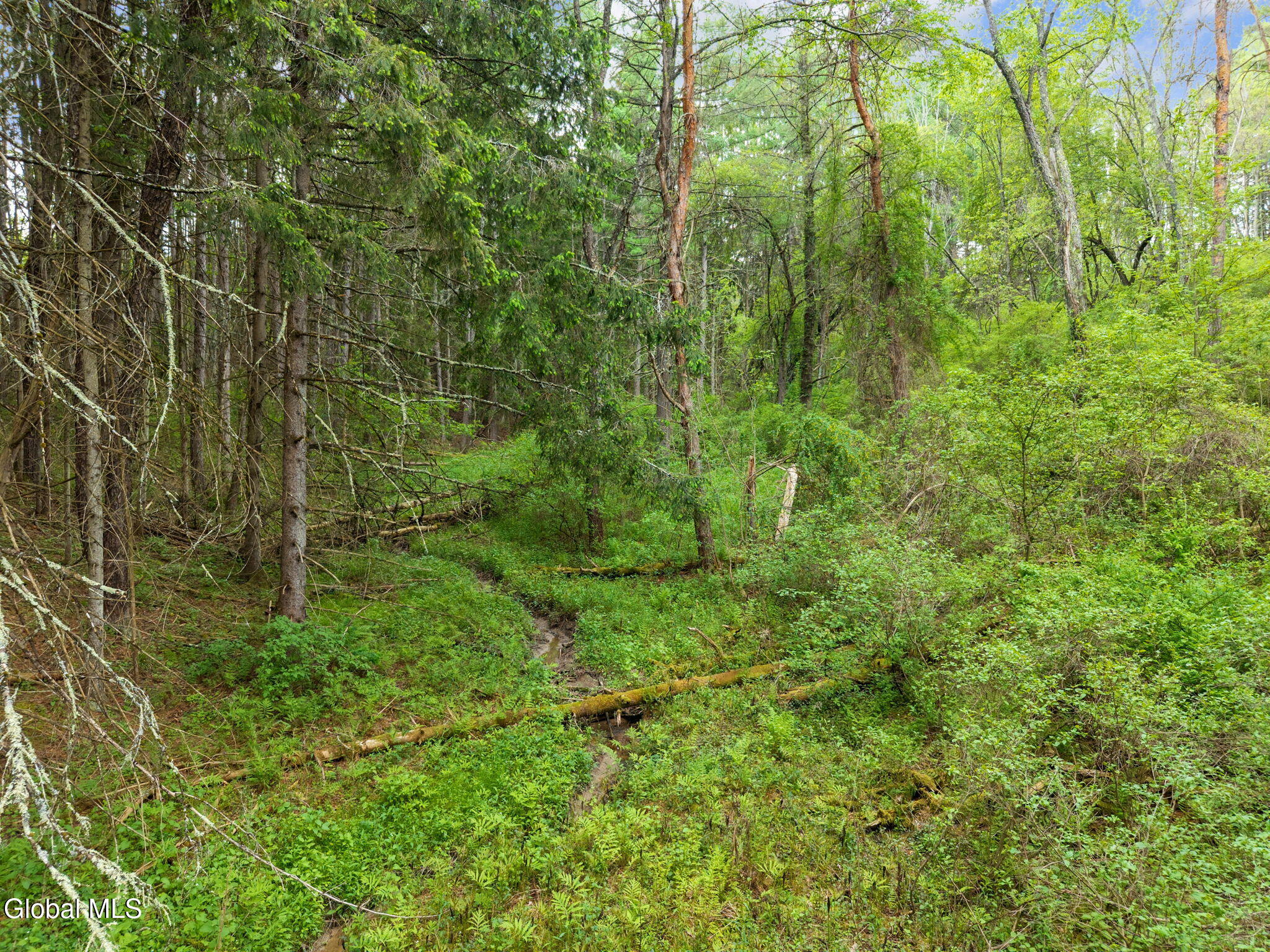 1432 Shew Hollow Road Gilboa, NY 12076 - Photo 50 of 55 55-1432ShewHollowRd_55