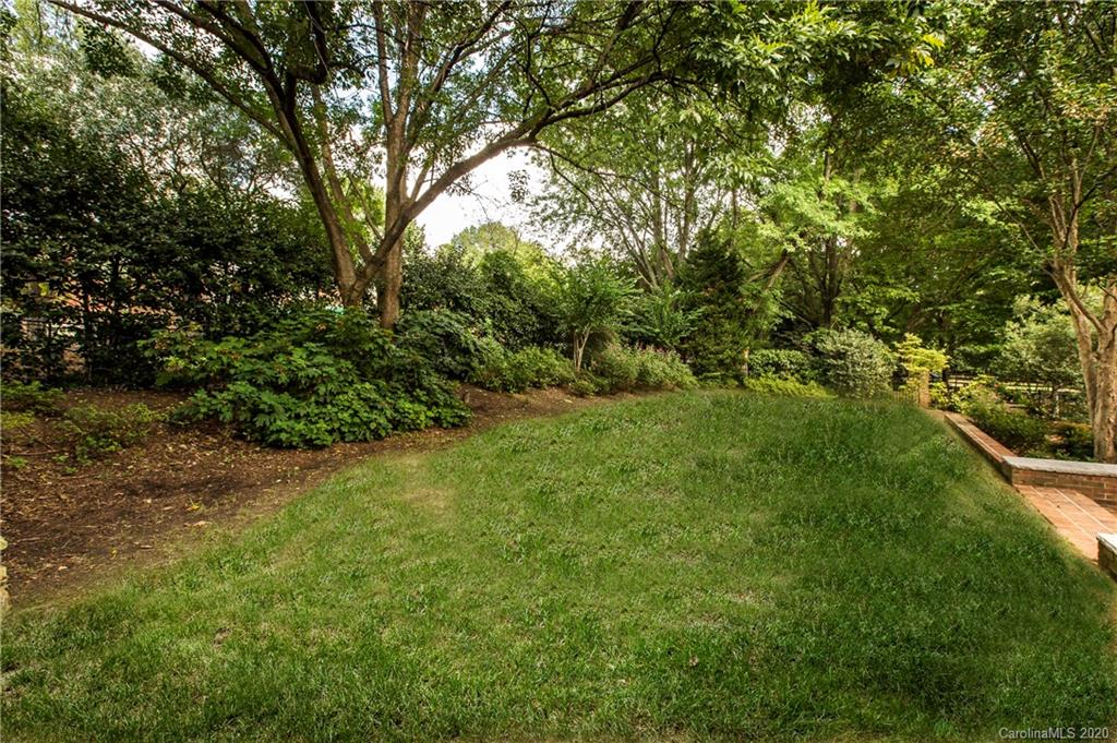 2930 Wheelock Road Charlotte, NC 28211 - Photo 47 of 48 a view of a lush green space