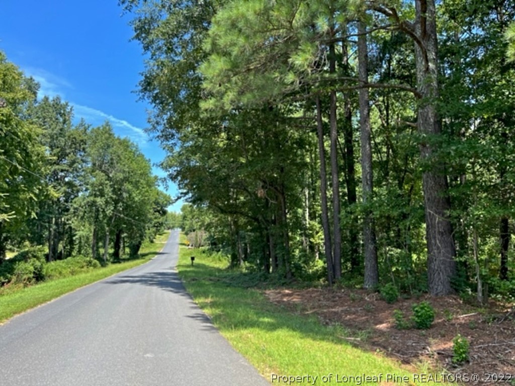Lot 3 Key Road Sanford, NC 27332 - Photo 1 of 8 a view of a street with a yard