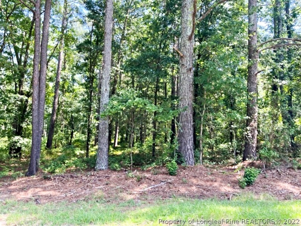 Lot 3 Key Road Sanford, NC 27332 - Photo 5 of 8 a view of a forest with trees