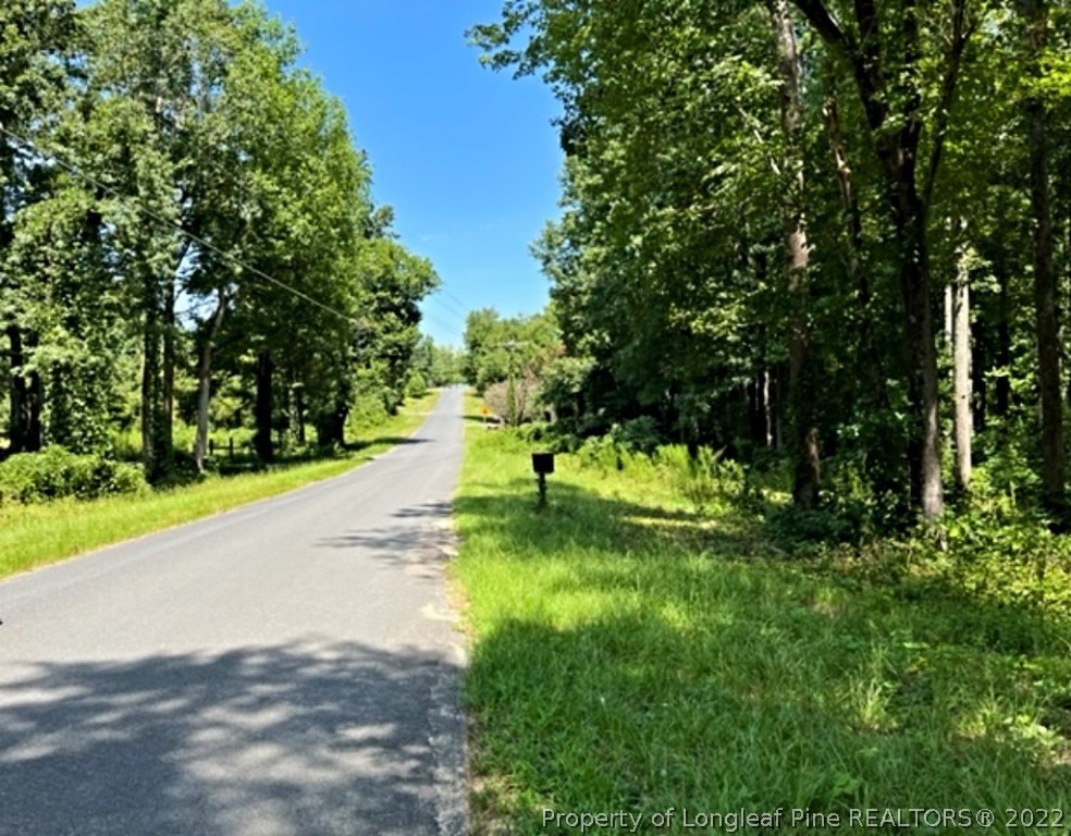 Lot 3 Key Road Sanford, NC 27332 - Photo 6 of 8 a view of yard