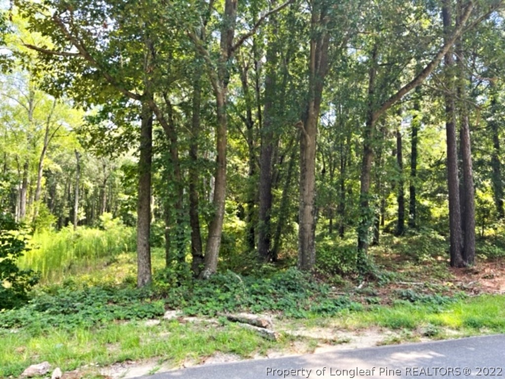 Lot 3 Key Road Sanford, NC 27332 - Photo 8 of 8 a view of outdoor space and green space