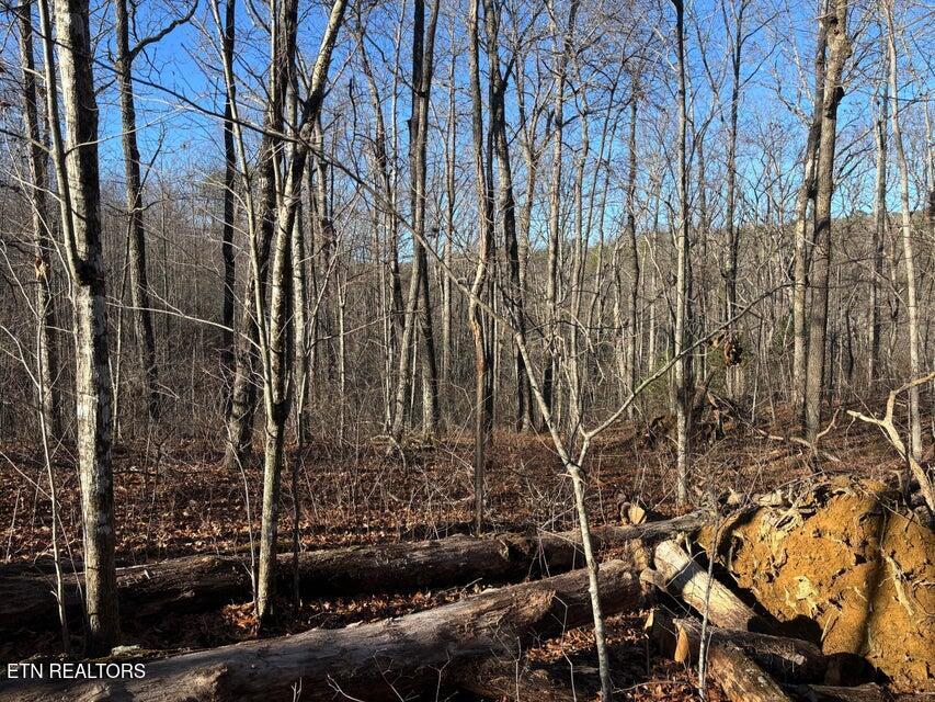 0 Deerhead Road Dunlap, TN 37327 - Photo 11 of 28 11