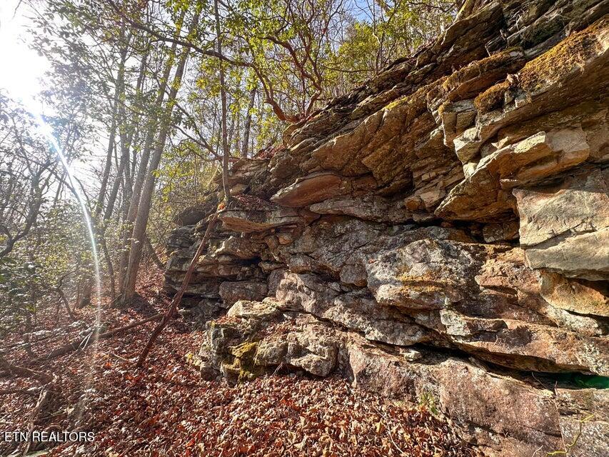 0 Deerhead Road Dunlap, TN 37327 - Photo 12 of 28 12