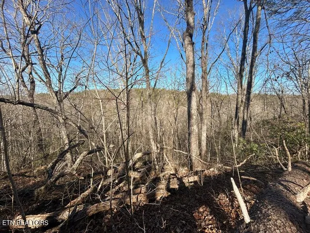 $150,000 | 0 Deerhead Road, Dunlap, TN 37327