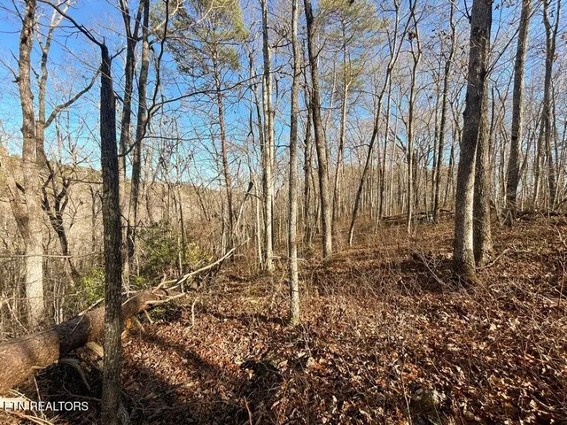 $150,000 | 0 Deerhead Road, Dunlap, TN 37327