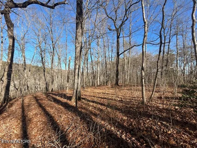 $150,000 | 0 Deerhead Road, Dunlap, TN 37327