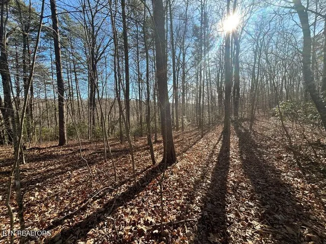 $150,000 | 0 Deerhead Road, Dunlap, TN 37327