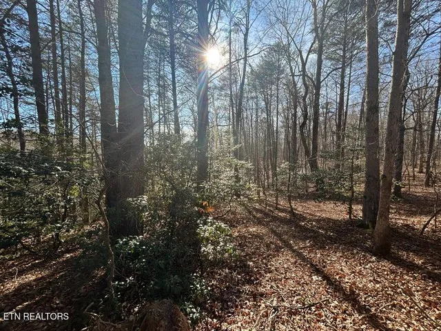 $150,000 | 0 Deerhead Road, Dunlap, TN 37327