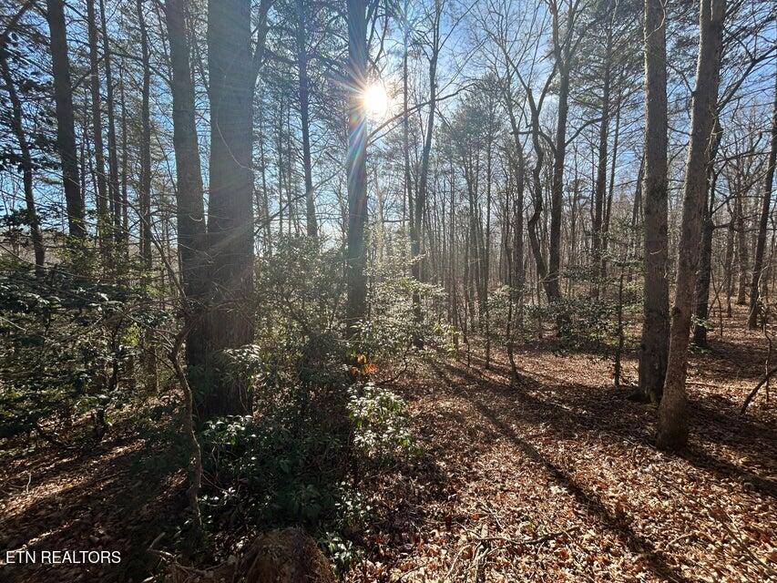 0 Deerhead Road Dunlap, TN 37327 - Photo 19 of 28 19