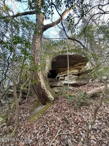 $150,000 | 0 Deerhead Road, Dunlap, TN 37327