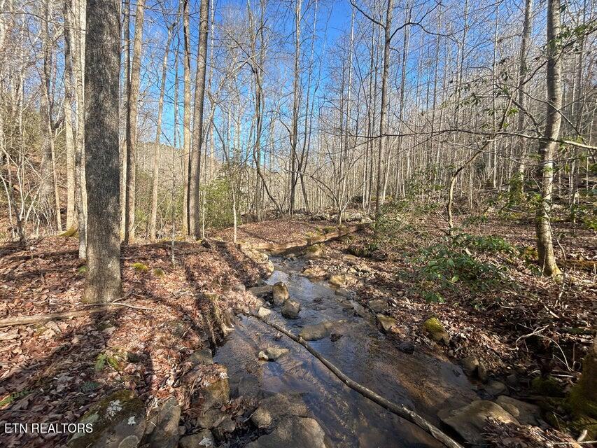 0 Deerhead Road Dunlap, TN 37327 - Photo 23 of 28 23